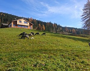 Guest house 0864901 • Holiday property Trentino / South Tyrol • Huisje in Sexten / Moos 