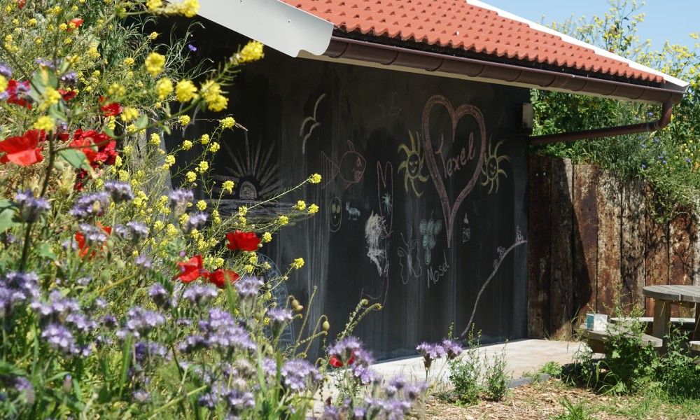 Bild 15