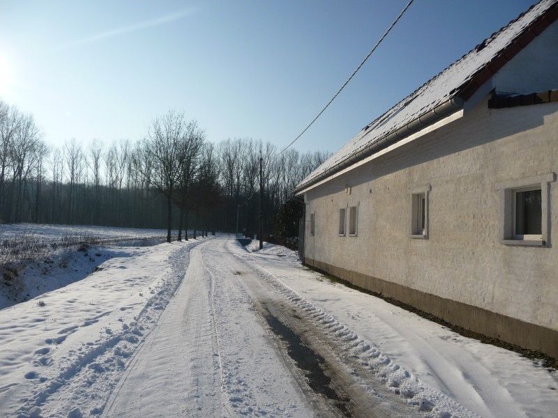 Foto 9