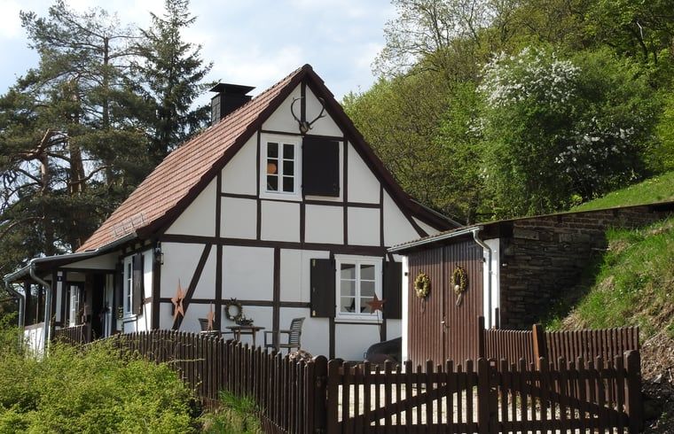 Gezellig vakantiehuis in Diemelsee-Flechtdorf, Hessen, omringd door natuur en rustieke charme.