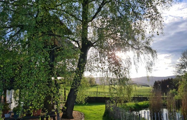 Enjoy the serene nature surrounding the Holiday Home in Murlenbach, Eifel, with stunning views of green fields and trees.