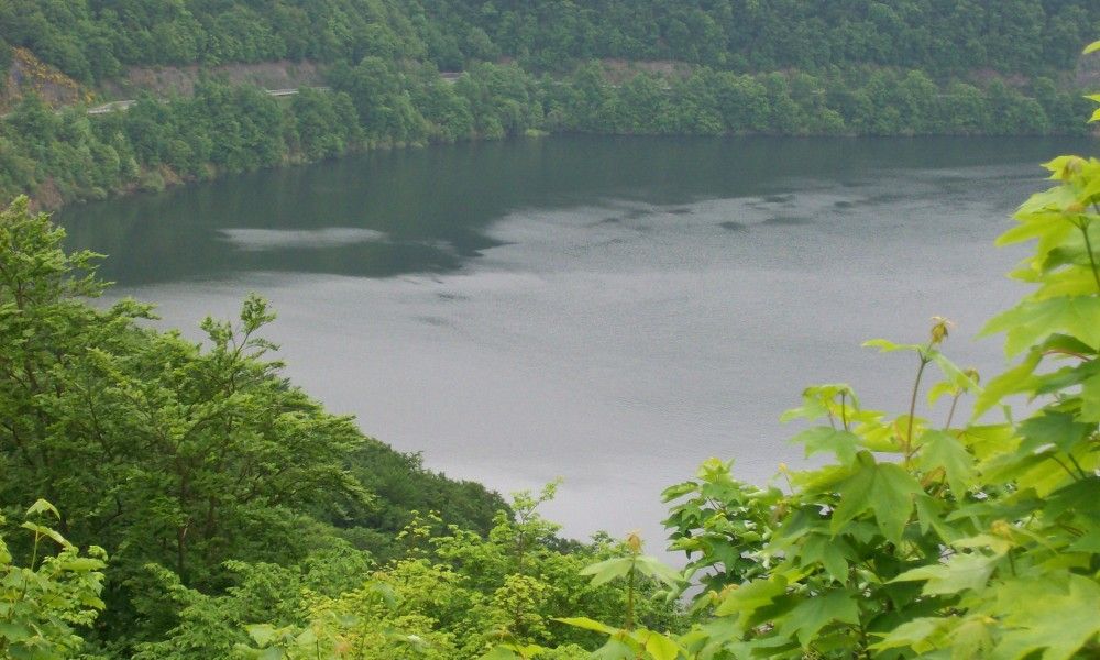 Unterkunft 0280103 - Ferienhaus Sauerland - Am Sternberg Frankenau