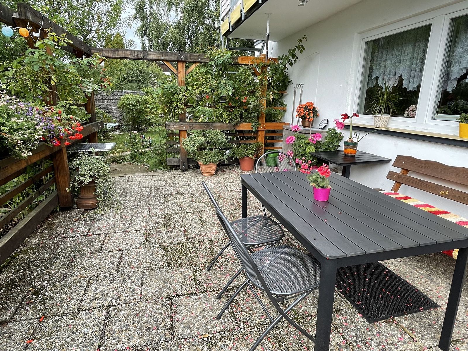 Guest house 03123701 - Apartment Black Forest - Appartement Spatzenparadies