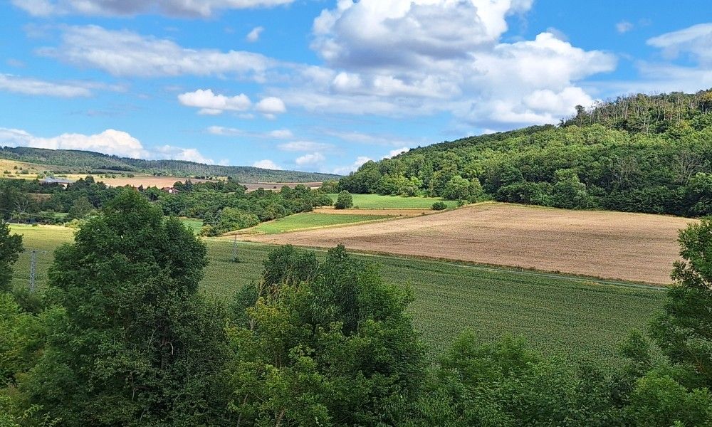 Geniet van het weidse uitzicht op de groene heuvels rond vakantiehuis Seega in Kyffhauserland, Thringen.