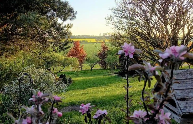 Geniet van het prachtige uitzicht op de natuur vanuit Vakantiehuis in Leinefelde-Worbis, gelegen in het groene Thuringen, Duitsland.