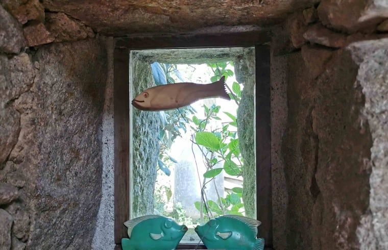 Verblijf 0412206 - Vakantiewoning Bretagne - Vakantiehuis in Plouhinec