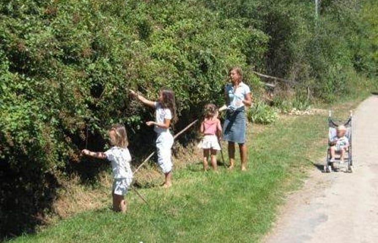 Verblijf 04517508 - Vakantiewoning Centre - Vakantiehuisje in Lignac