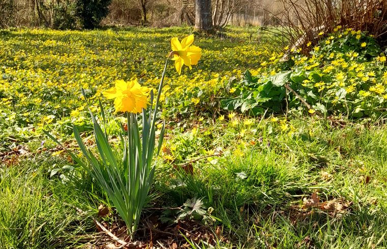Verblijf 04517510 - Vakantiewoning Centre - Huisje in Lignac