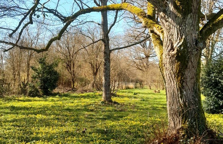 Verblijf 04517510 - Vakantiewoning Centre - Huisje in Lignac