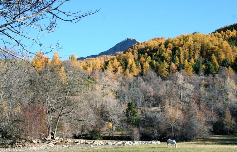 Foto 13