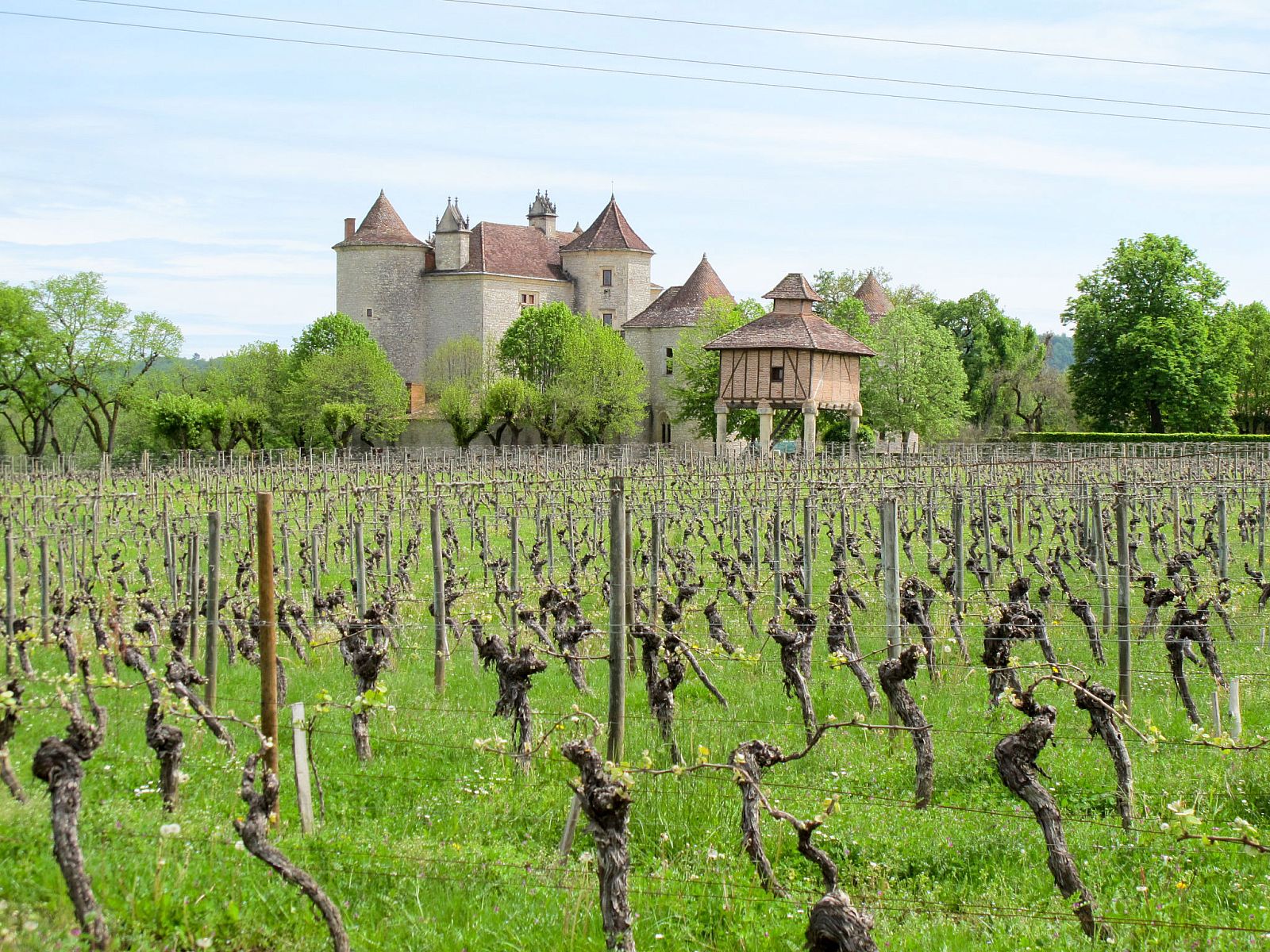 Verblijf 04964501 - Vakantiewoning Midi / Pyrenees - Vakantiehuis Le Mas de Serre