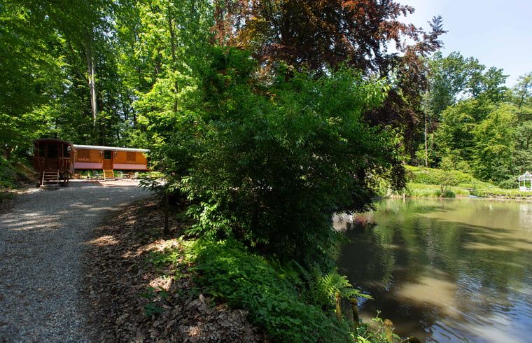 Unterkunft 0526602 - Ferienhaus Limburg - Vakantiehuis in Bilzen-Hoeselt