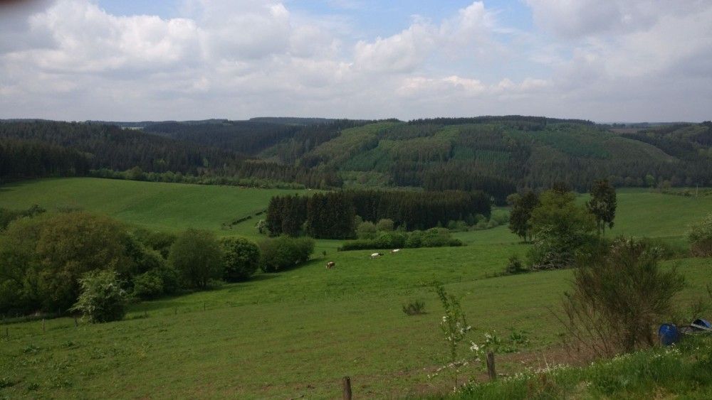 Foto 11