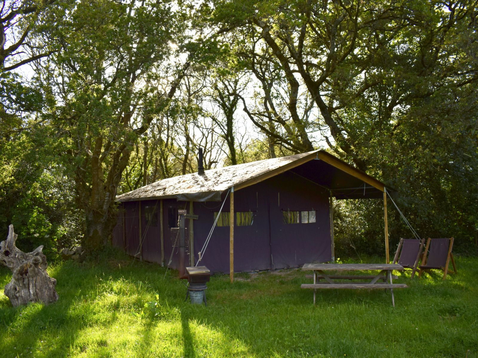 Ein Zelt-Cottage mit eigener beheizter Dusche in Beccles, England, bietet ein einzigartiges Glamping-Erlebnis inmitten ueppiger Natur.