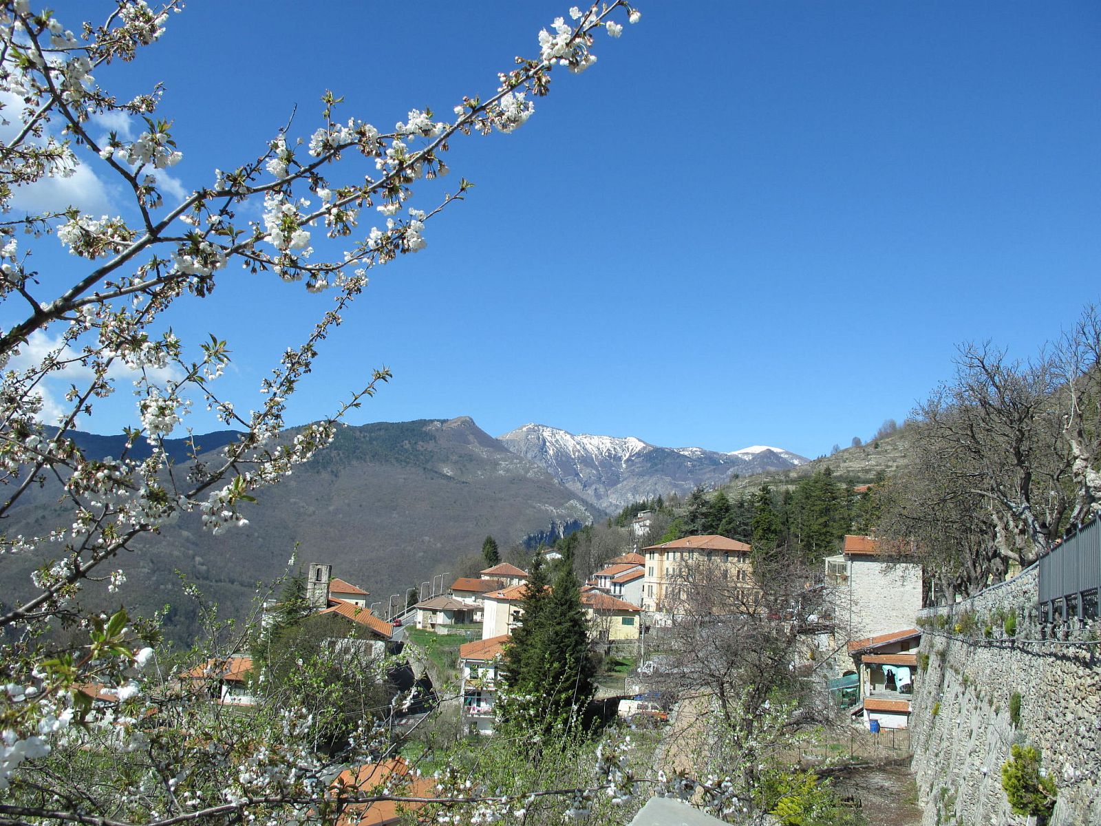 Guest house 09023401 - Holiday property Liguria - Vakantiehuis Carametto