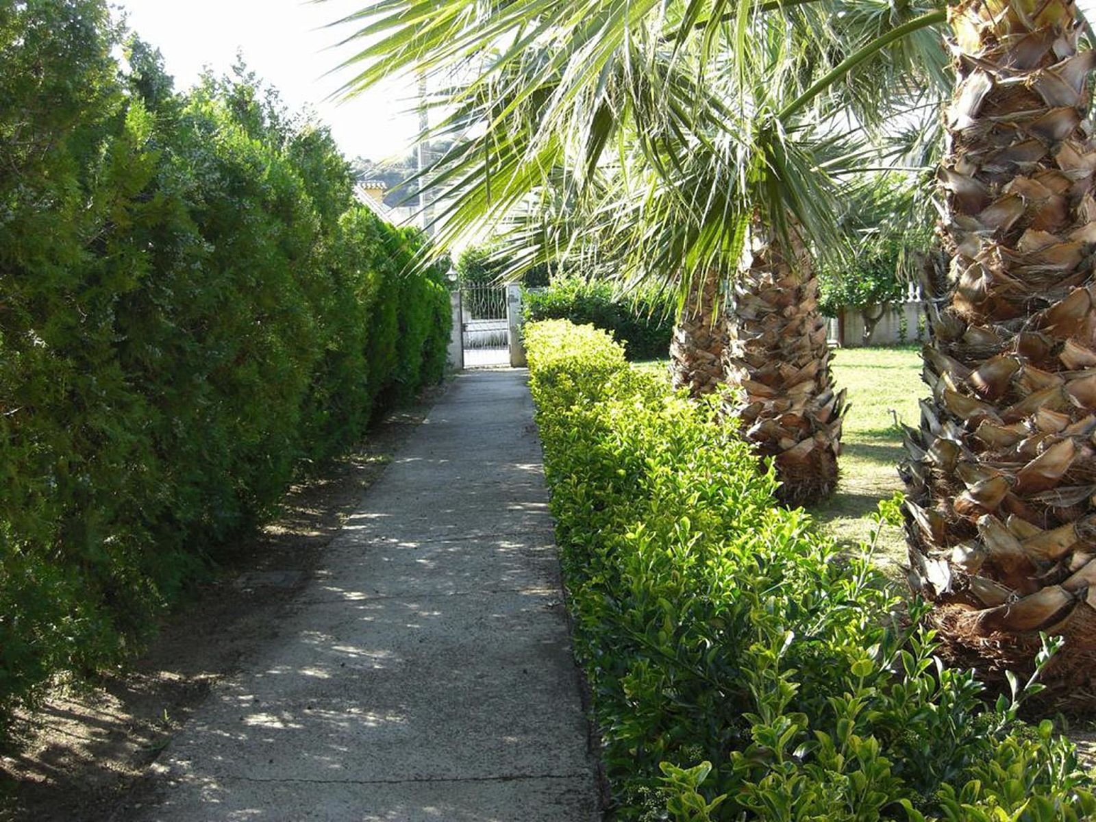 Unterkunft 0915109 - Appartement Kampanien / Neapel - Appartement Laura