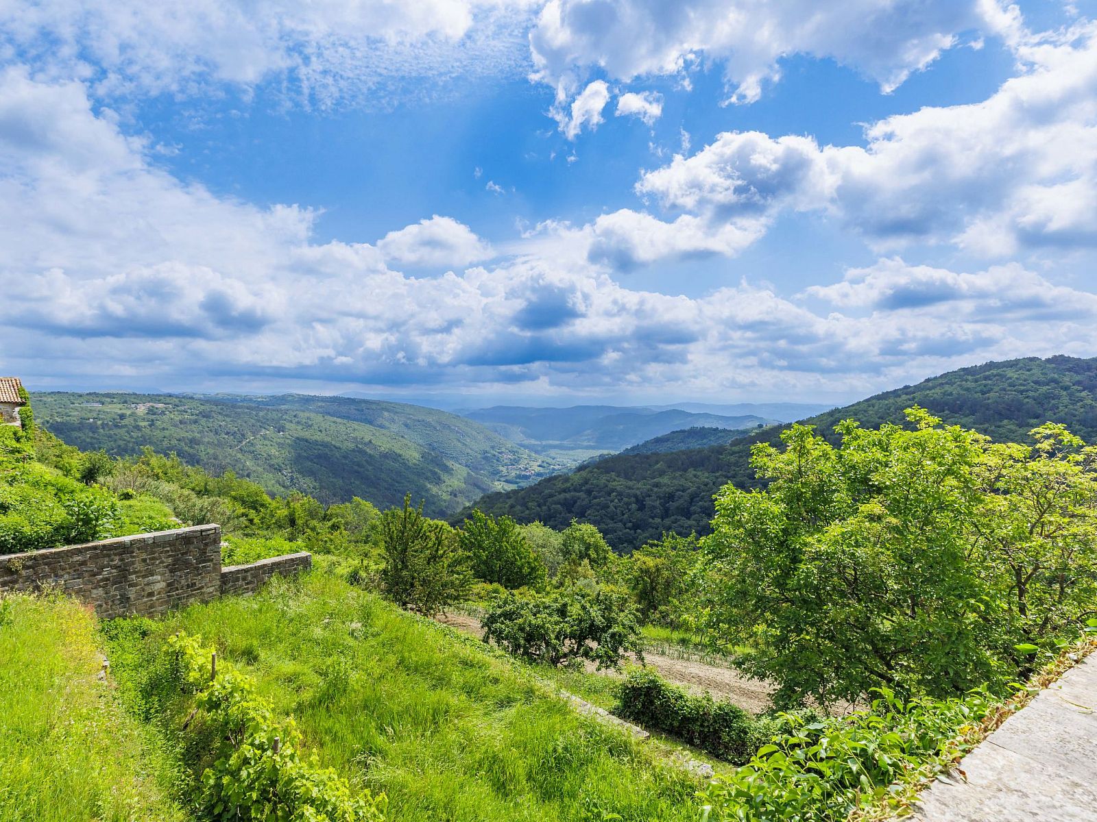 Verblijf 10119104 - Vakantiewoning Istrie - Vakantiehuis Villa Letizia