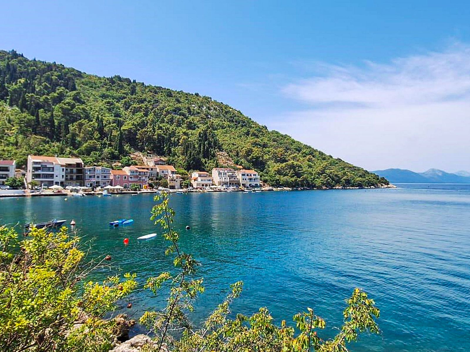 Guest house 10317204 - Apartment Dalmatia - Appartement Jasmina