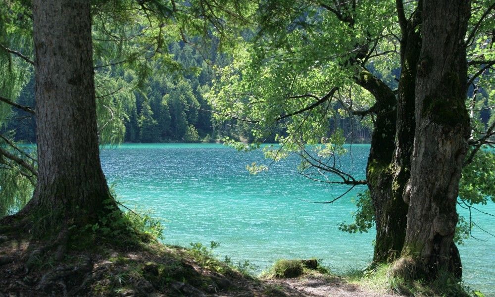 Verblijf 1168356 - Vakantiewoning Tirol - Appartement Mariandl