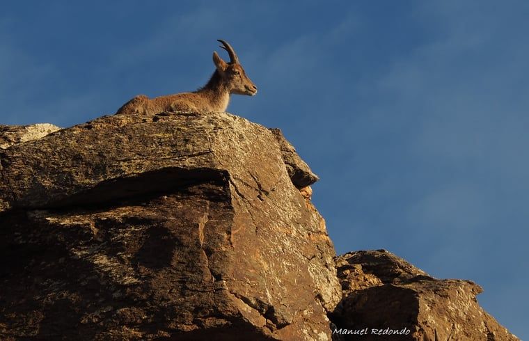 Verblijf 14154103 - Vakantiewoning Andalusie - Vakantiehuisje in La Taha (Pitres)