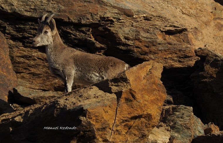 Verblijf 14154103 - Vakantiewoning Andalusie - Vakantiehuisje in La Taha (Pitres)
