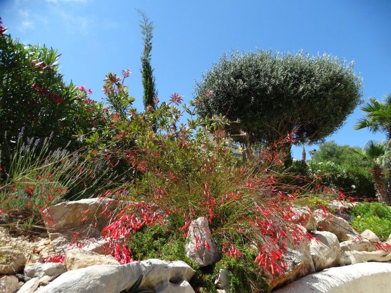 Unterkunft 14924502 - Ferienhaus Costa blanca - Casa Jobasol