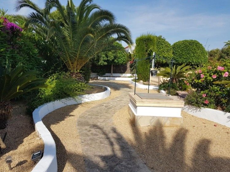 Ontdek de weelderige tuin van Villa Esmeralda, een vakantiehuis in Javea, Costa Blanca, omringd door palmbomen en kleurrijke bloemen.