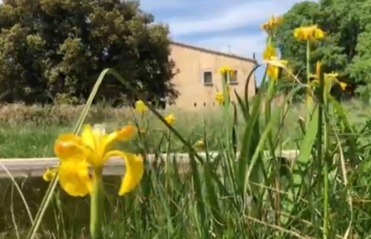 Vakantiehuisje in Navata, Costa Brava, omgeven door bloemen en groen voor een ontspannen verblijf in Spanje.
