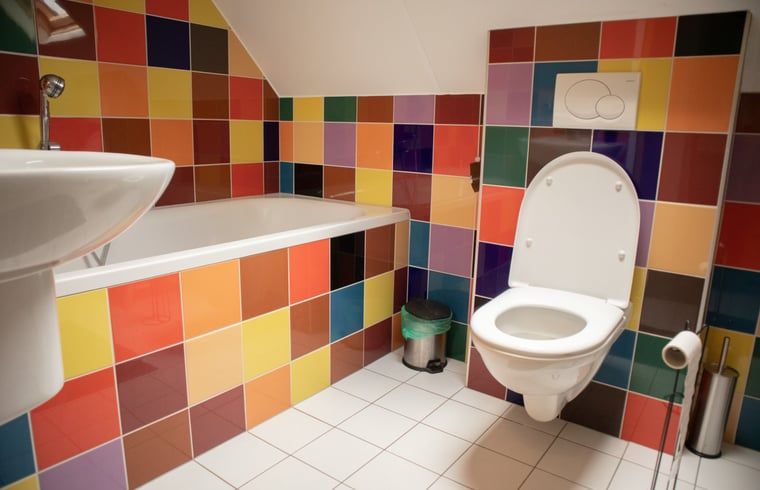 Guest house 173803 - Holiday property Midden Drenthe - Vakantiehuis in Geeuwenbrug