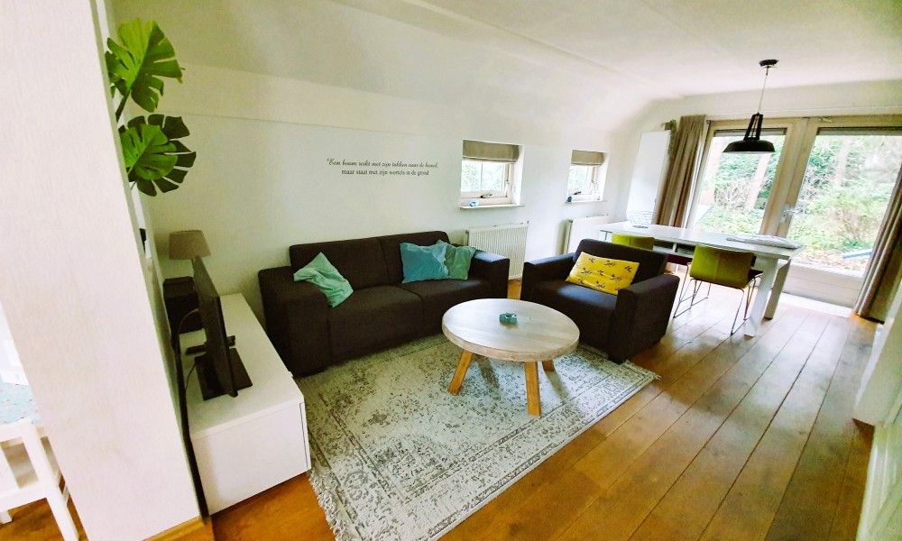 Gezellige woonkamer van vakantiehuis Mepke in Diever, Drenthe met uitzicht op de natuurlijke omgeving.