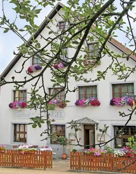 Verblijf 20403101 - Vakantie appartement Zwarte Woud - Hotel Restaurant Engel
