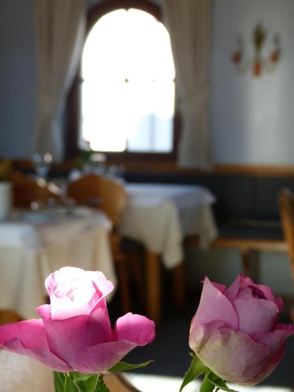 Foto 22