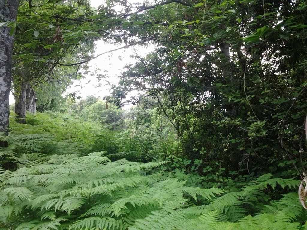 Verblijf 22204301 - Bed and breakfast Corsica - Chambre d'Hôtes La Marlotte