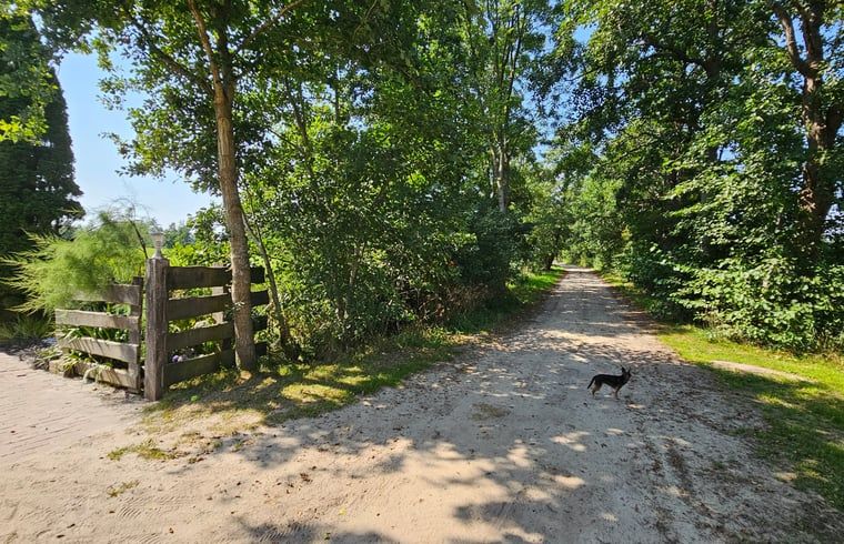 Guest house 264202 - Holiday property Het Friese platteland - Huisje in Jistrum