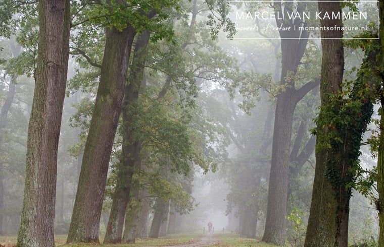 Guest house 264603 - Holiday property Het Friese platteland - Huisje in Twijzelerheide