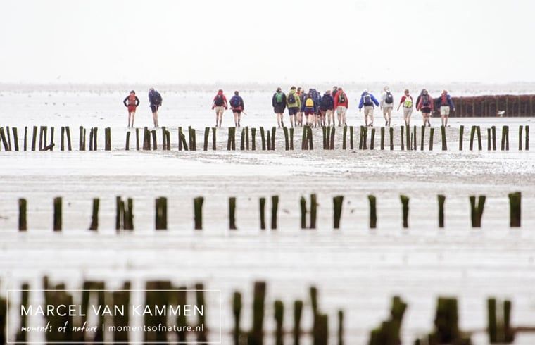 Guest house 264603 - Holiday property Het Friese platteland - Huisje in Twijzelerheide