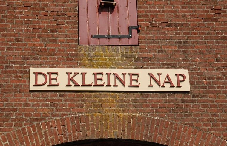 Bloeiende tuin rondom Vakantiehuis in De Steeg, Veluwe, Gelderland.