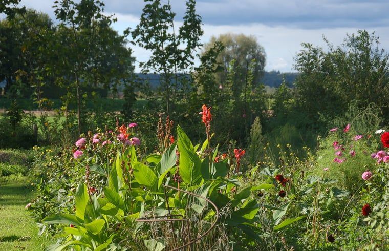 Fruitboomgaard bij Vakantiehuis in De Steeg, Veluwe, Gelderland.