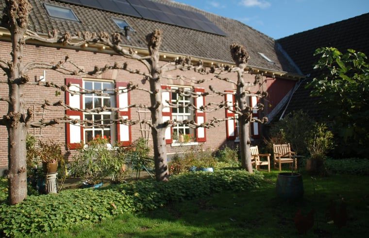 Adembenemend landschap rondom Vakantiehuis in De Steeg, Veluwe, Gelderland.