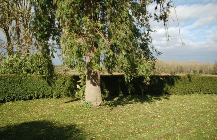 Verblijf 323704 - Vakantiewoning Veluwe - Vakantiehuis in De Steeg