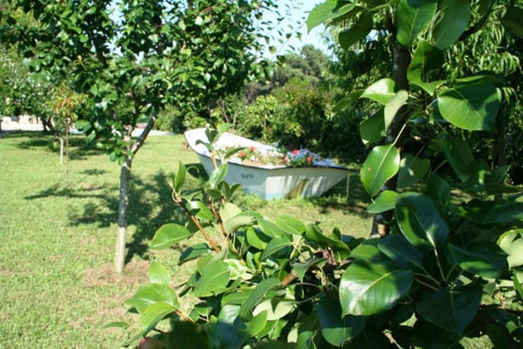 Foto 15