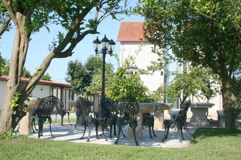 Foto 19