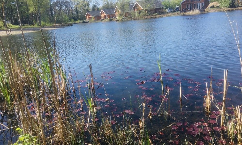 Foto 11