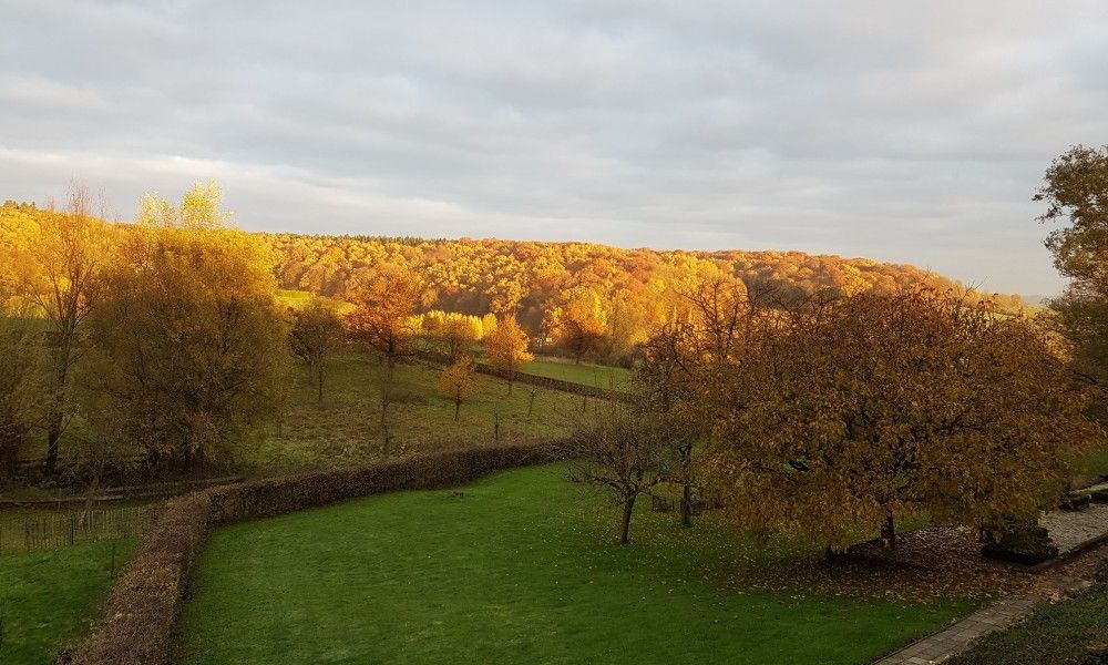 Guest house 390509 - Apartment Zuid Limburg - Buitenverblijf 't Herfse