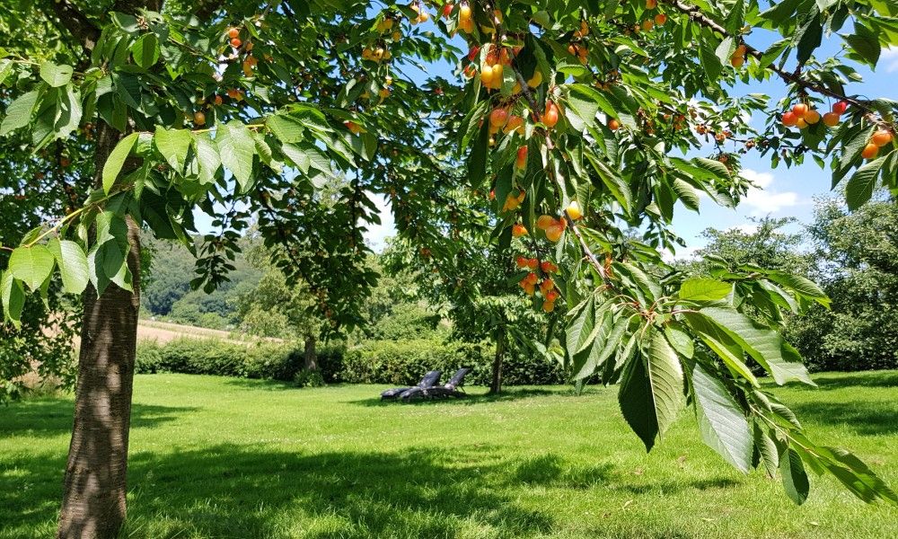 Guest house 390509 - Apartment Zuid Limburg - Buitenverblijf 't Herfse