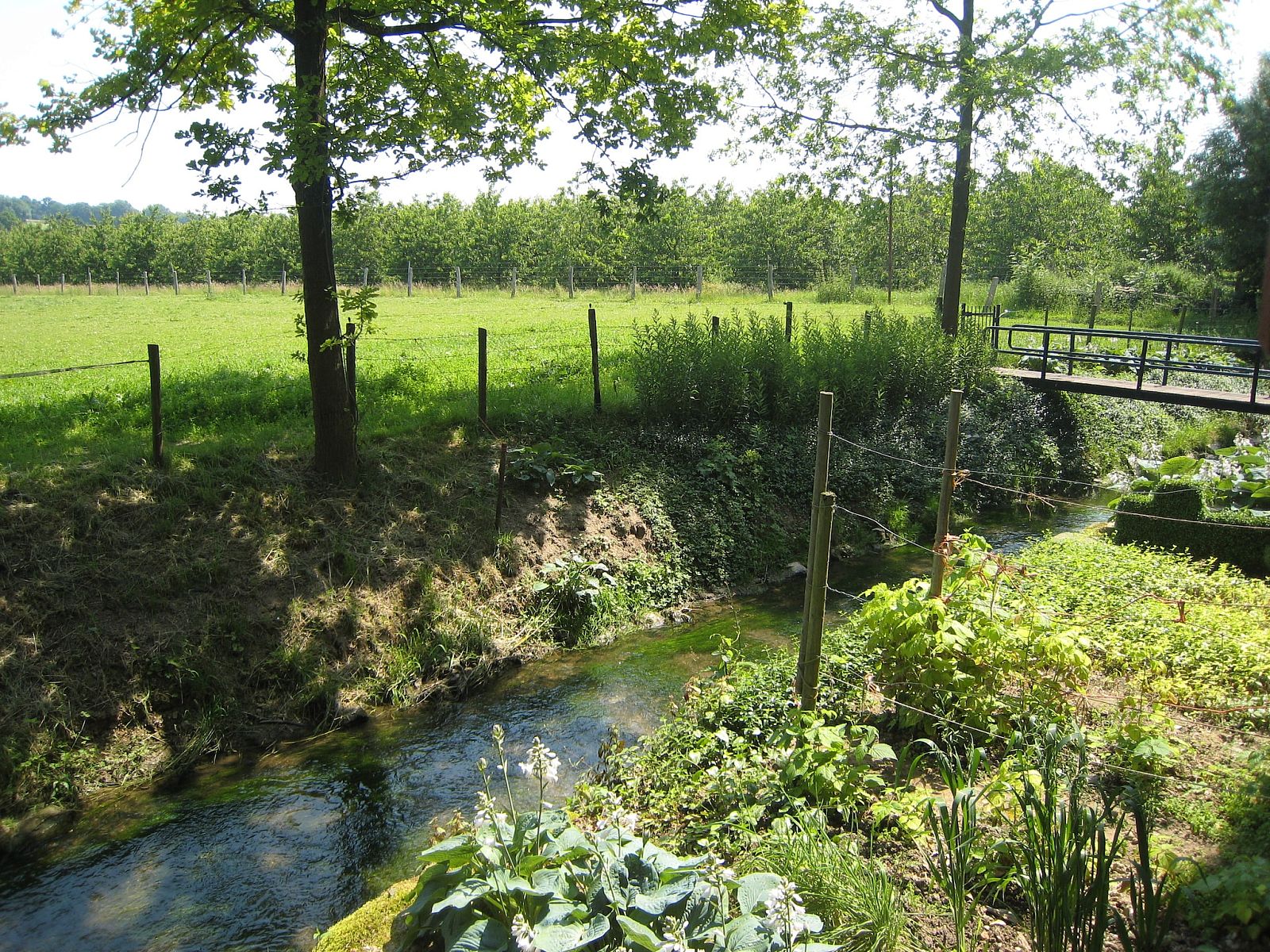Foto 13