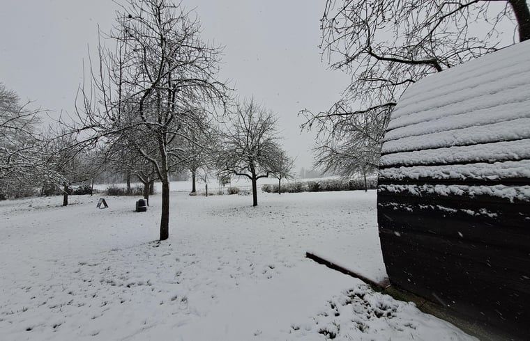 Foto 16