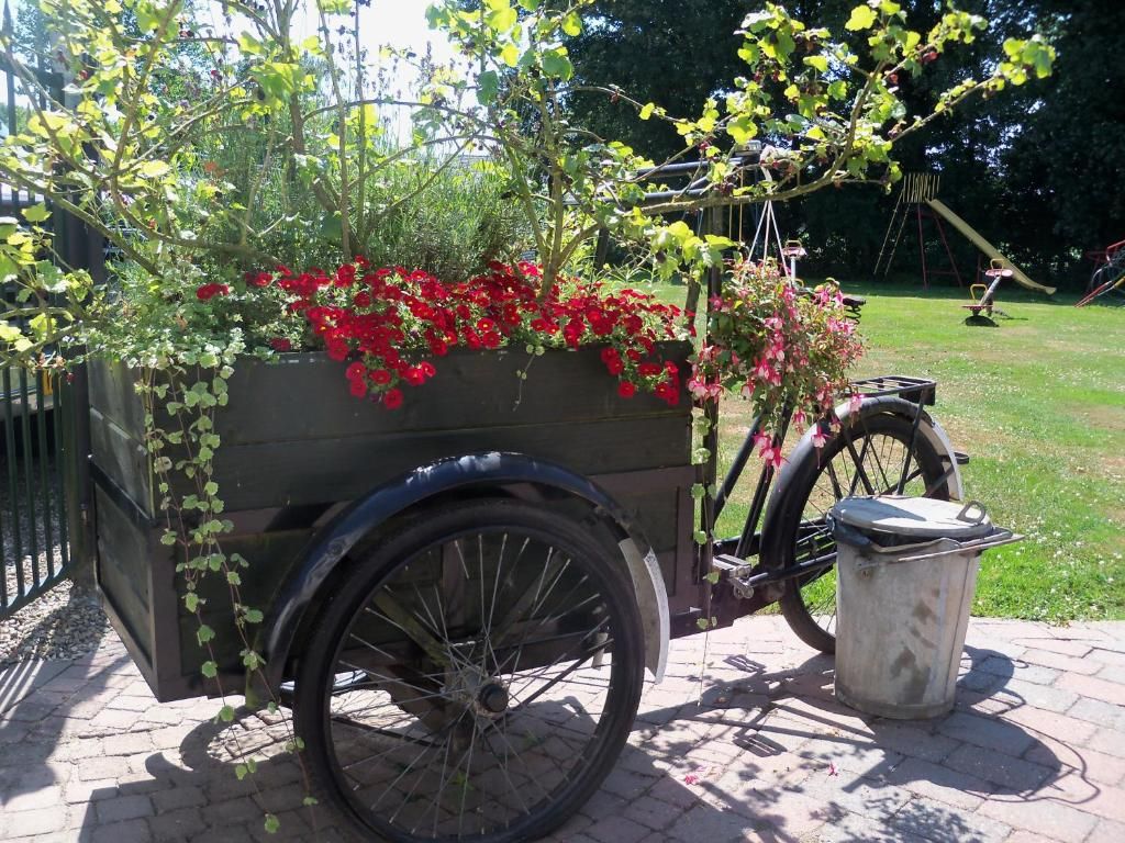 Foto 20