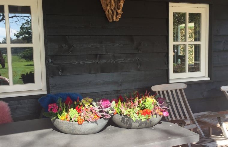 Unterkunft 461810 - Ferienhaus IJsselmeerkust - Vakantiehuis in Twisk