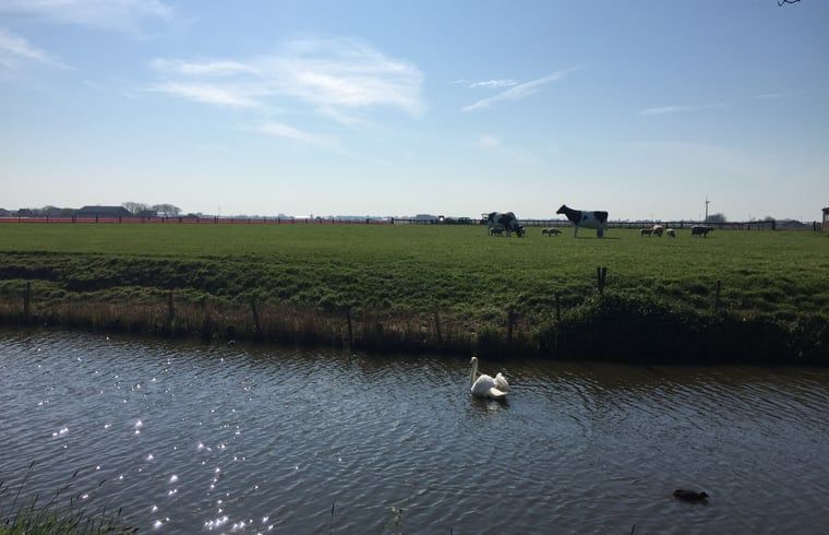 Unterkunft 461810 - Ferienhaus IJsselmeerkust - Vakantiehuis in Twisk